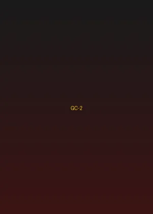 四虎视频 - 风云再起海报