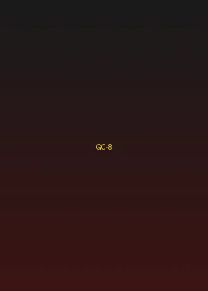 四虎视频 - 黑道风云海报